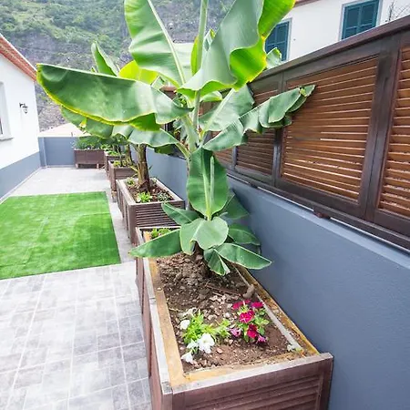 Apartamento Oliveira's - Madeira Island *