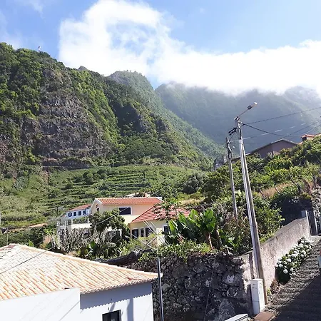 Oliveira's - Madeira Island *