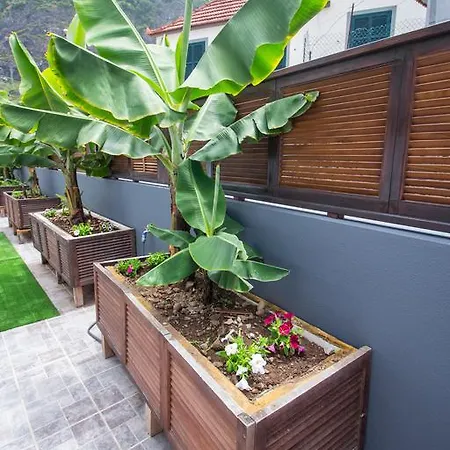 Apartament Oliveira's - Madeira Island Ponta Delgada (Madeira)