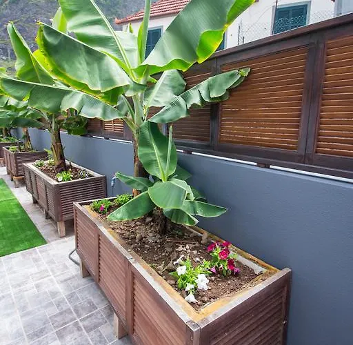 Appartement Oliveira's - Madeira Island Ponta Delgada (Madeira)