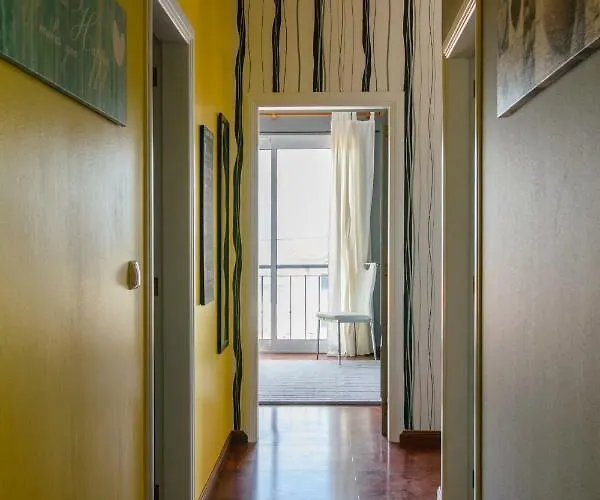 Oliveira's - Madeira Island *